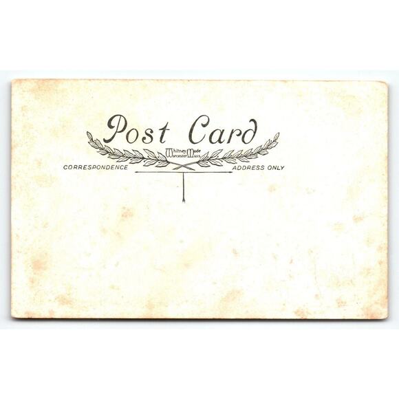 Halloween Postcard Whitney Black Cat Band Mice Moon Bats Anthropomorphic Fantasy - Picture 2 of 2